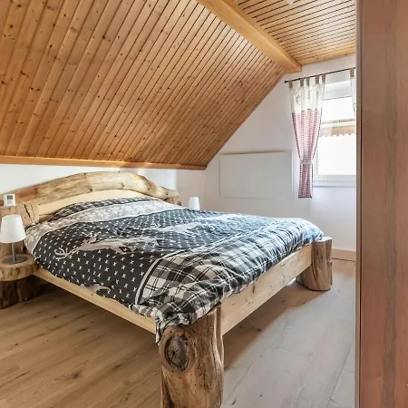 Holiday In Carinthia Near Ski Area *