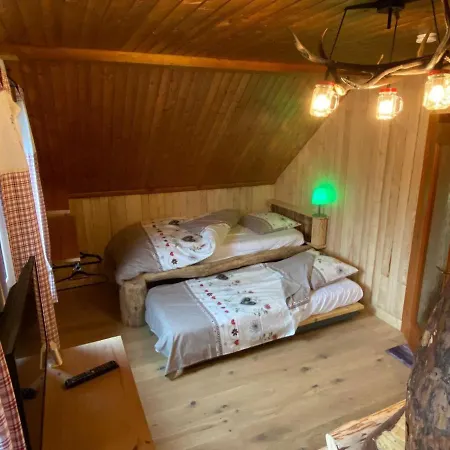 Holiday In Carinthia Near Ski Area