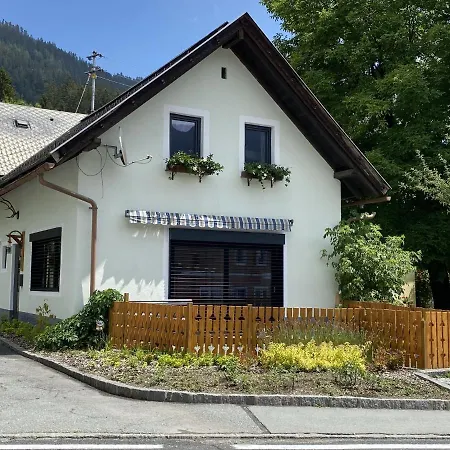 Holiday In Carinthia Near Ski Area