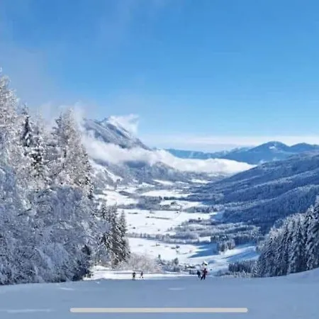 Holiday In Carinthia Near Ski Area